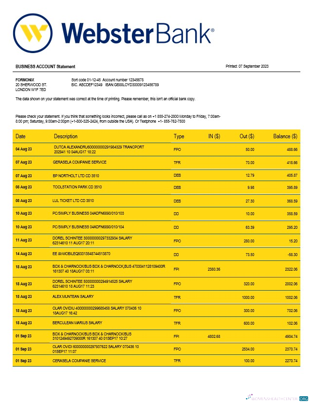 Download Webster Bank business statement Word and PDF template Photoshop template